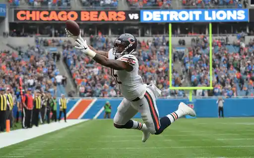 chicago bears vs detroit lions match player stats